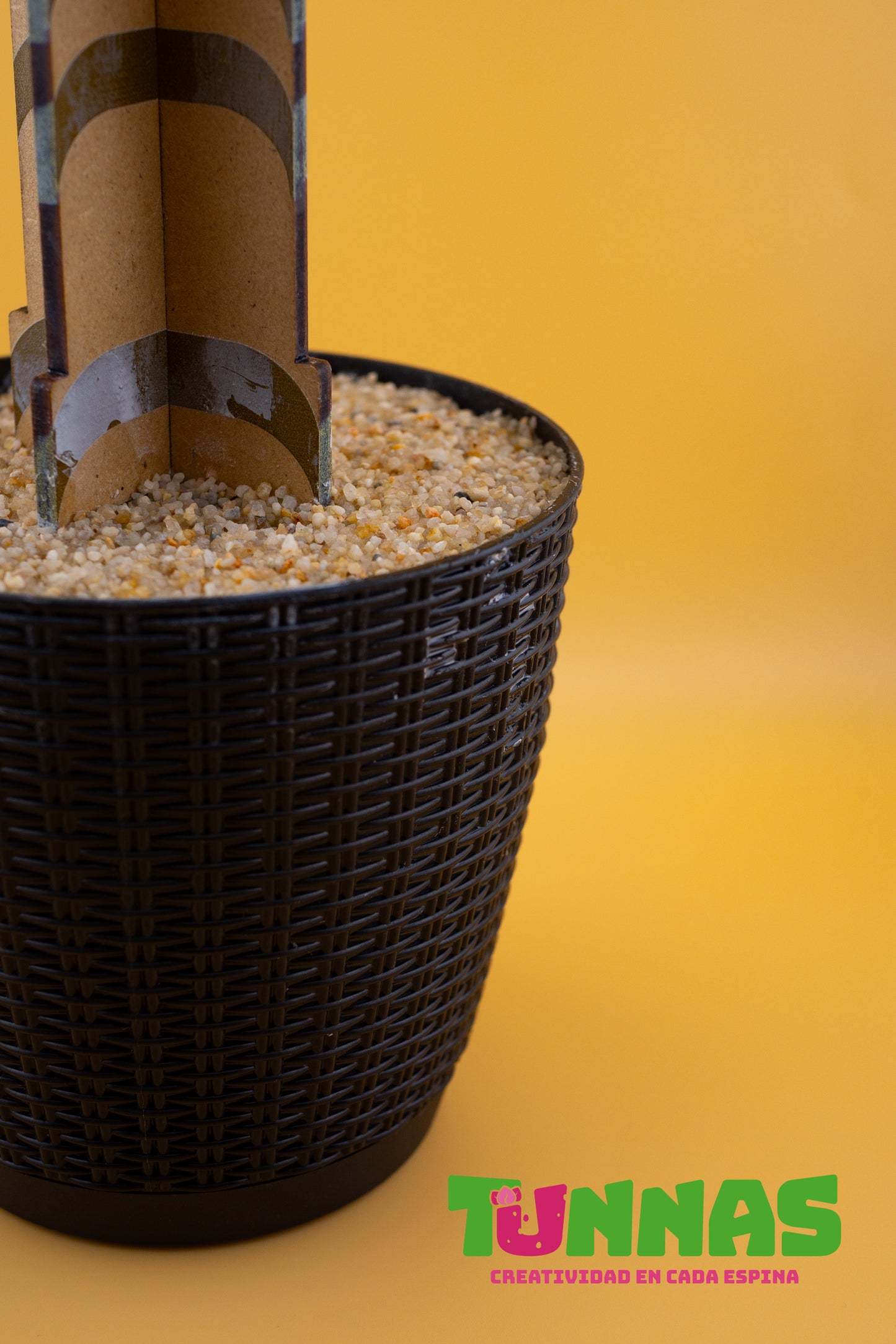 Set de Portavasos de Madera - Palmera